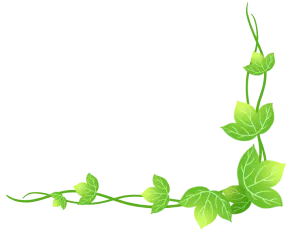 【薪火相传长征路  决胜中考创辉煌】记遂溪县大成初级中学2026届百日誓师大会 第59张