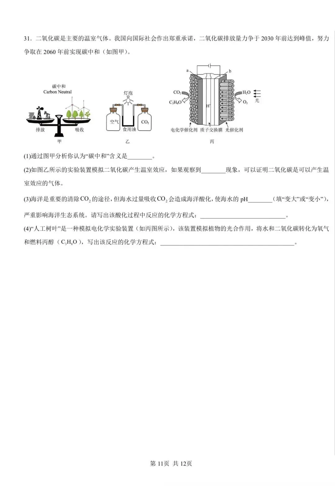 【中考一模】2026.03浙江·舟山定海区五校联考中考一模试卷&答案(语数英科) 第12张