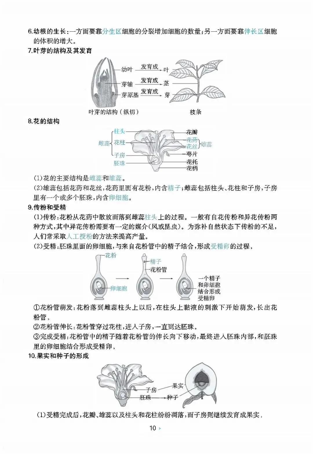 2026中考生物核心知识速记 第10张