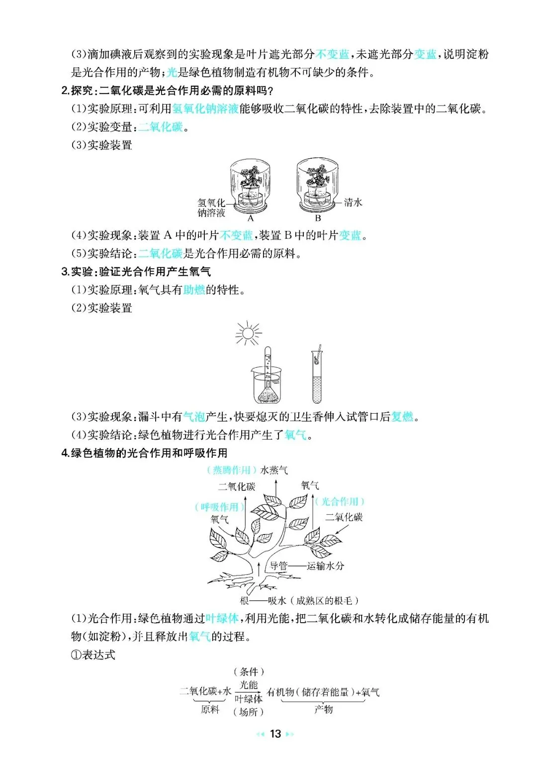 2026中考生物核心知识速记 第13张
