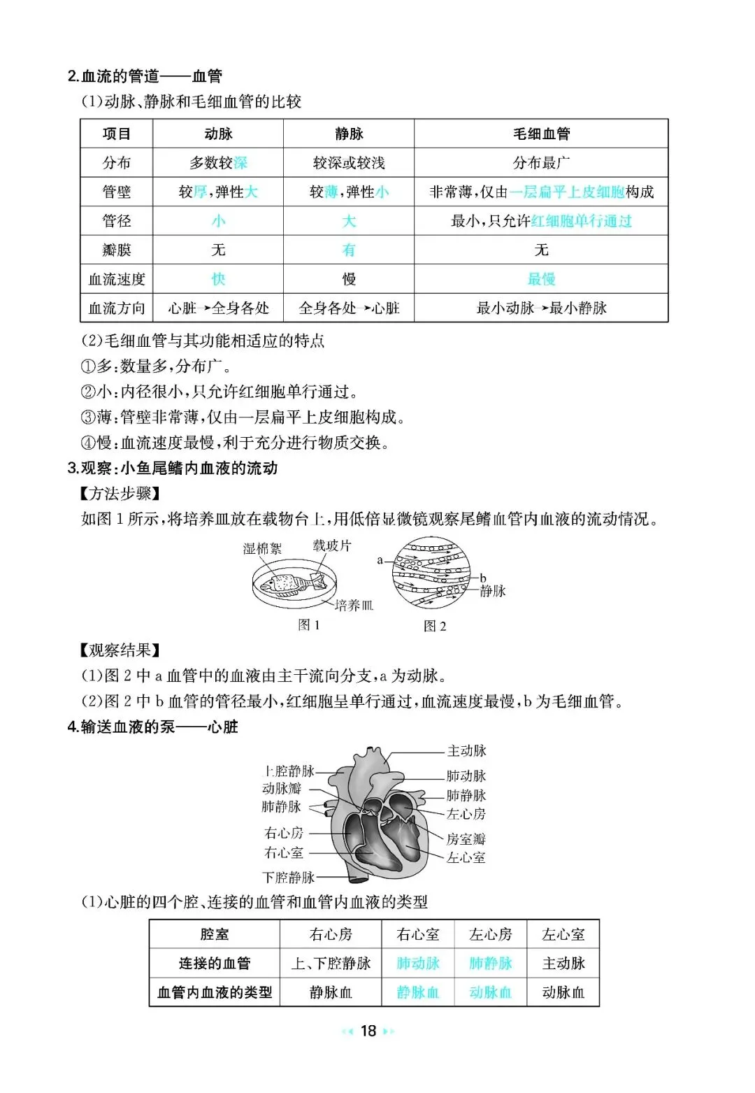2026中考生物核心知识速记 第18张