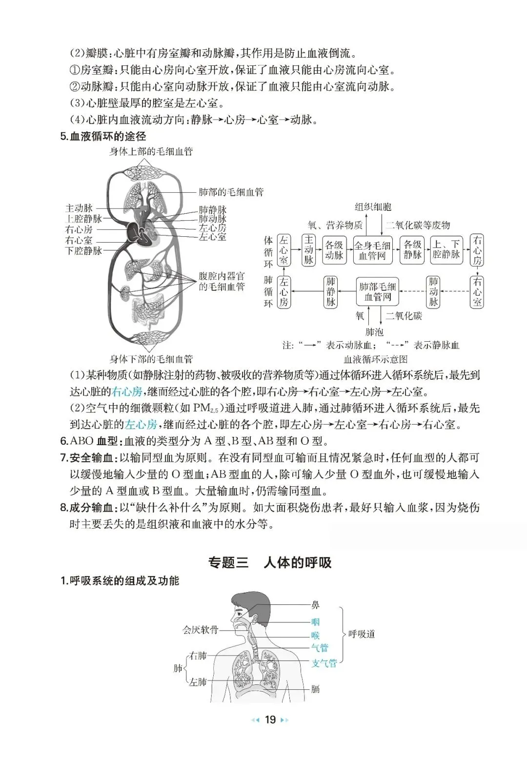 2026中考生物核心知识速记 第19张