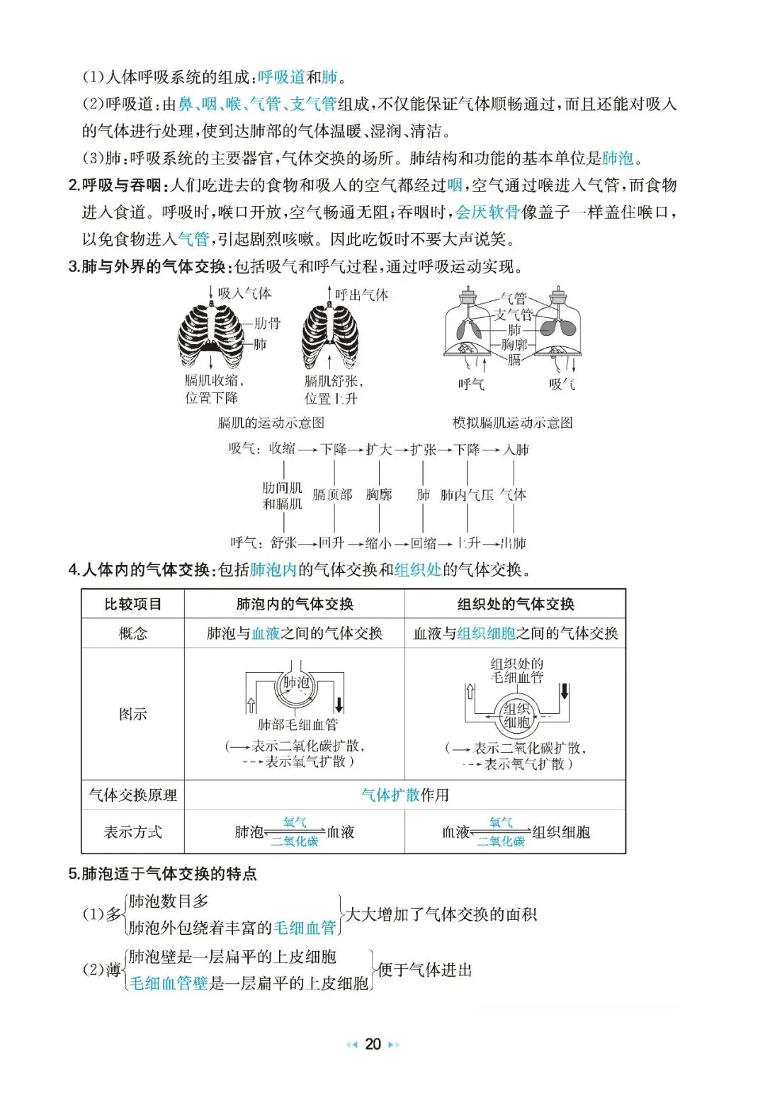 2026中考生物核心知识速记 第20张