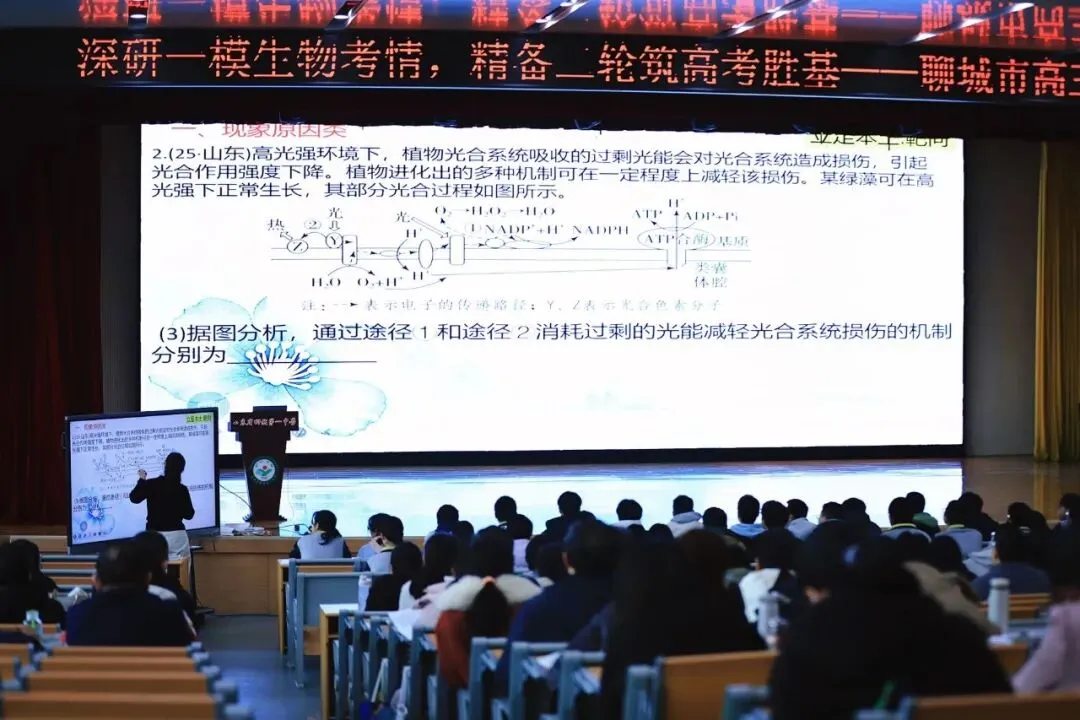 深耕真题巧破题,温情教学润心田 第14张