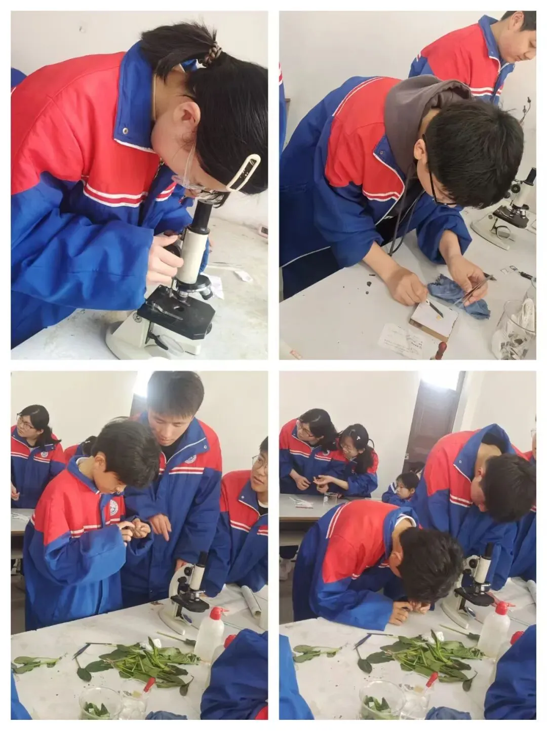 精研实操砺锋芒 以组赋能迎中考——内黄县东方中学九年级理化生实验专项训练全面启动 第10张