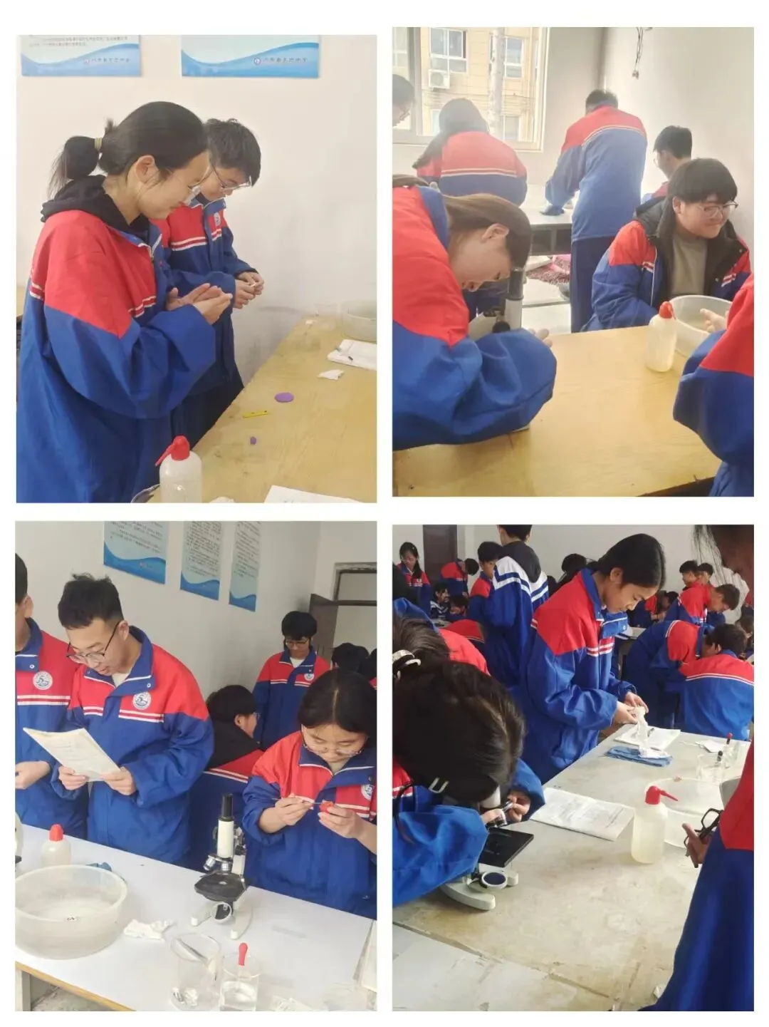 精研实操砺锋芒 以组赋能迎中考——内黄县东方中学九年级理化生实验专项训练全面启动 第11张