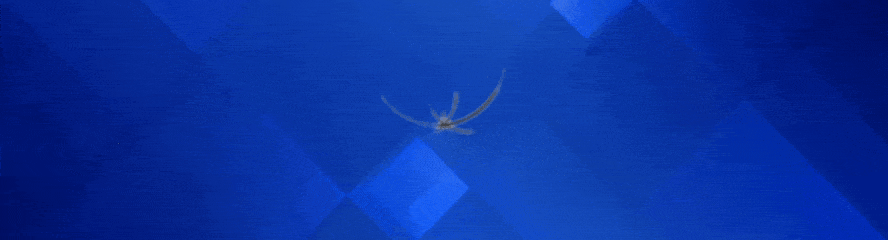 模考成绩不理想?别再死磕高考了!避开内卷直升海外名校无压力 第1张