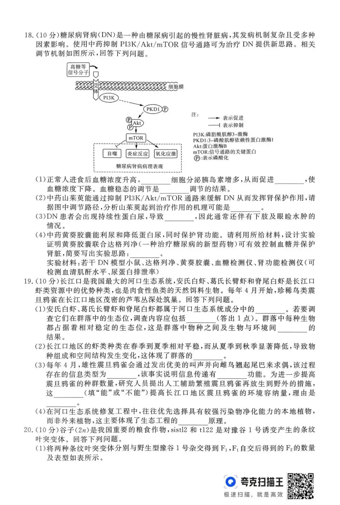 【高三】2026年普通高等学校招生考试仿真模拟卷(三)生物学试题及答案(文末附下载链接) 第5张