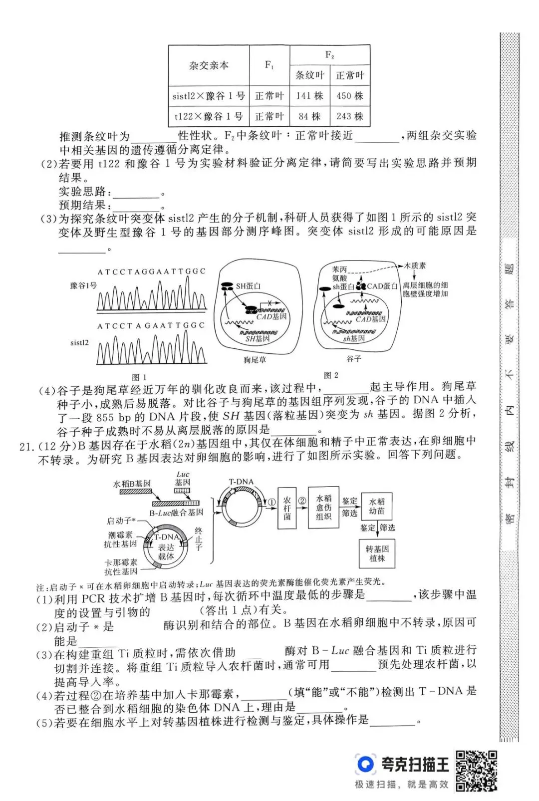【高三】2026年普通高等学校招生考试仿真模拟卷(三)生物学试题及答案(文末附下载链接) 第6张