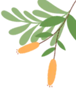 【朴厚·拾贝】2026年中考数学备考培训心得体会 第3张