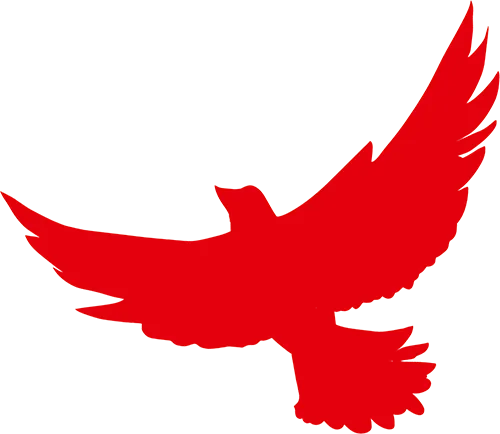 百日逐光,笃赴中考 枫溪瓷都实验中学百日誓师大会侧记 第72张