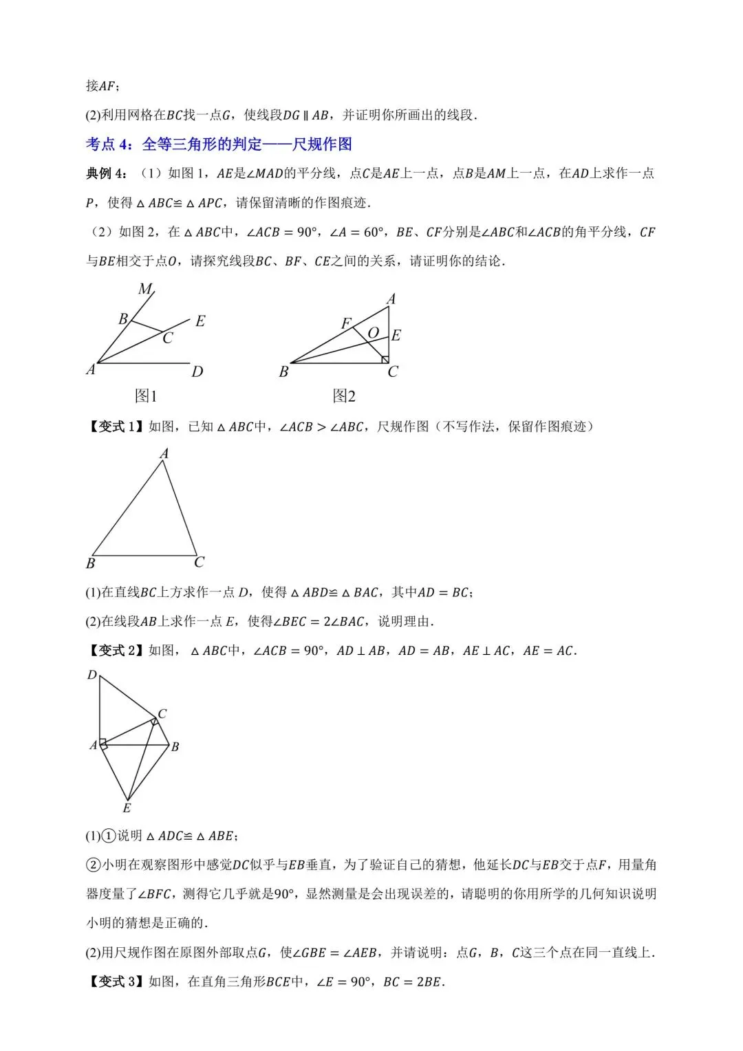 中考数学全等三角形专项复习 第6张