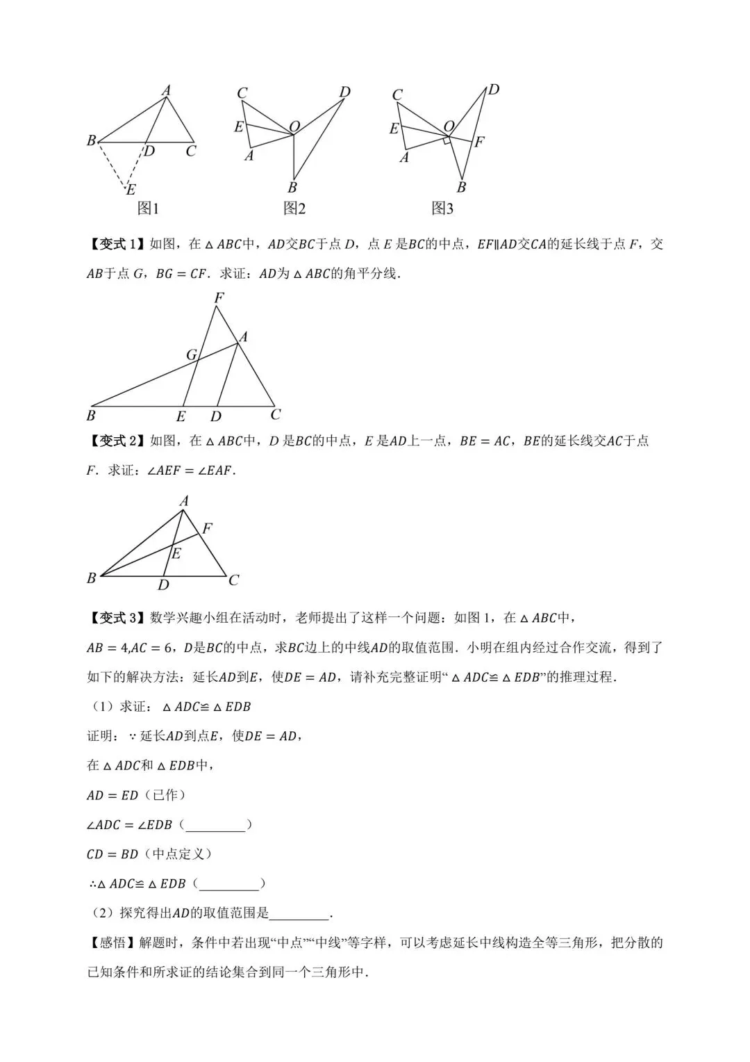 中考数学全等三角形专项复习 第9张