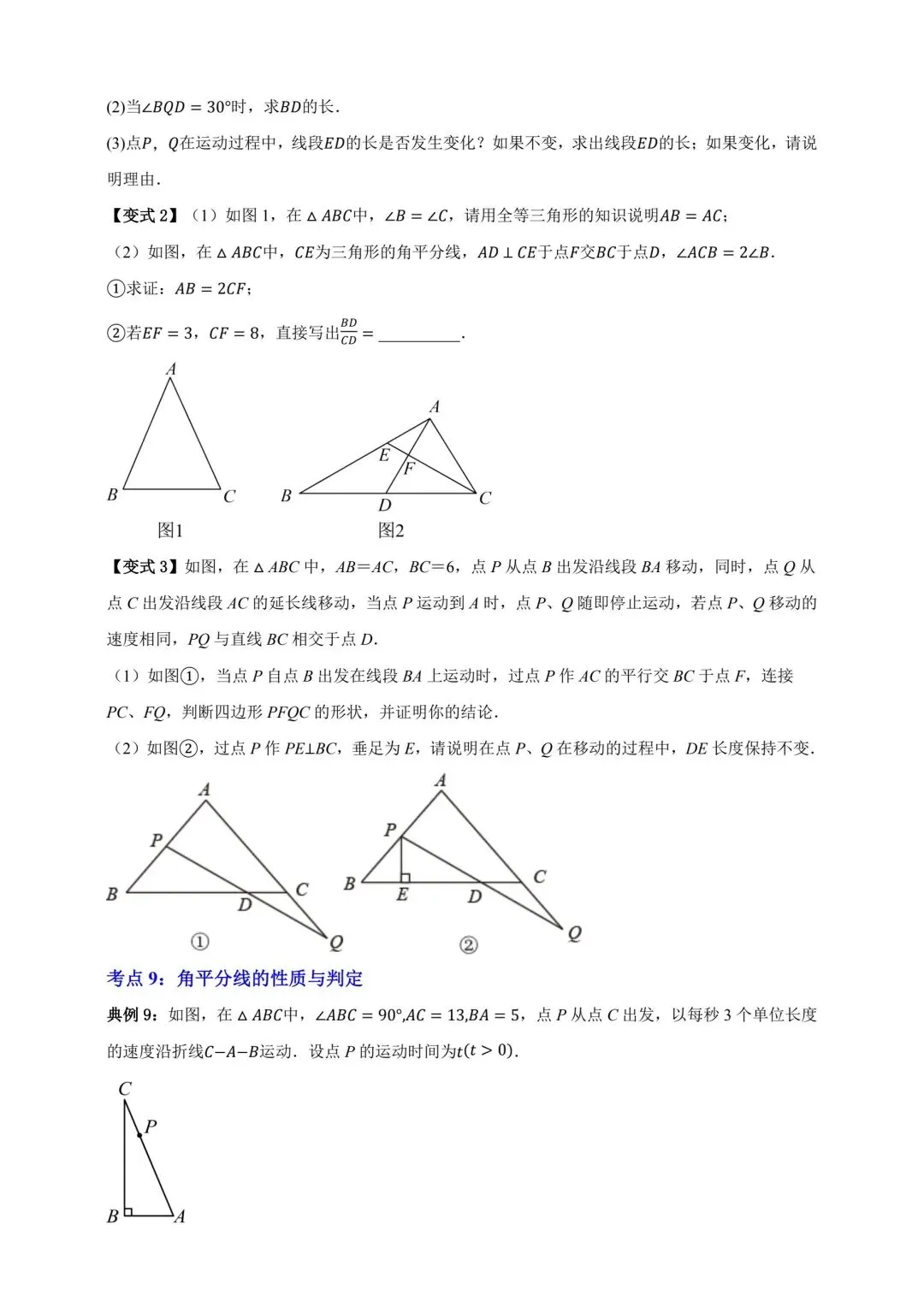 中考数学全等三角形专项复习 第12张