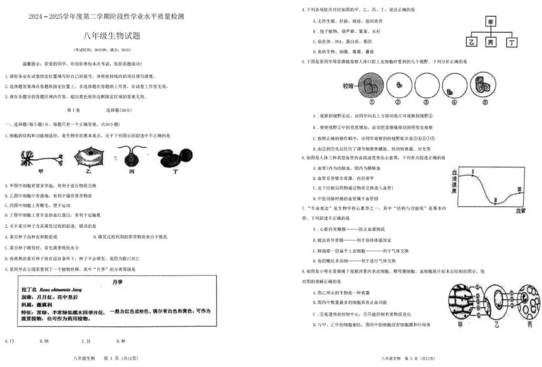 2025年青岛八年级地生会考真题&各区模考真题(含答案,附近五年真题汇总) 第51张