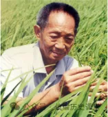 2026年中考历史八年级上下册【中国近现代史】专项训练(40+10) 第22张