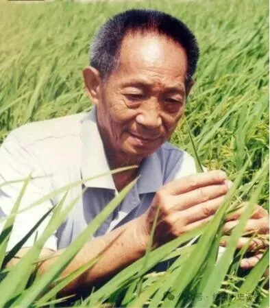 2026年中考历史八年级上下册【中国近现代史】专项训练(40+10) 第38张