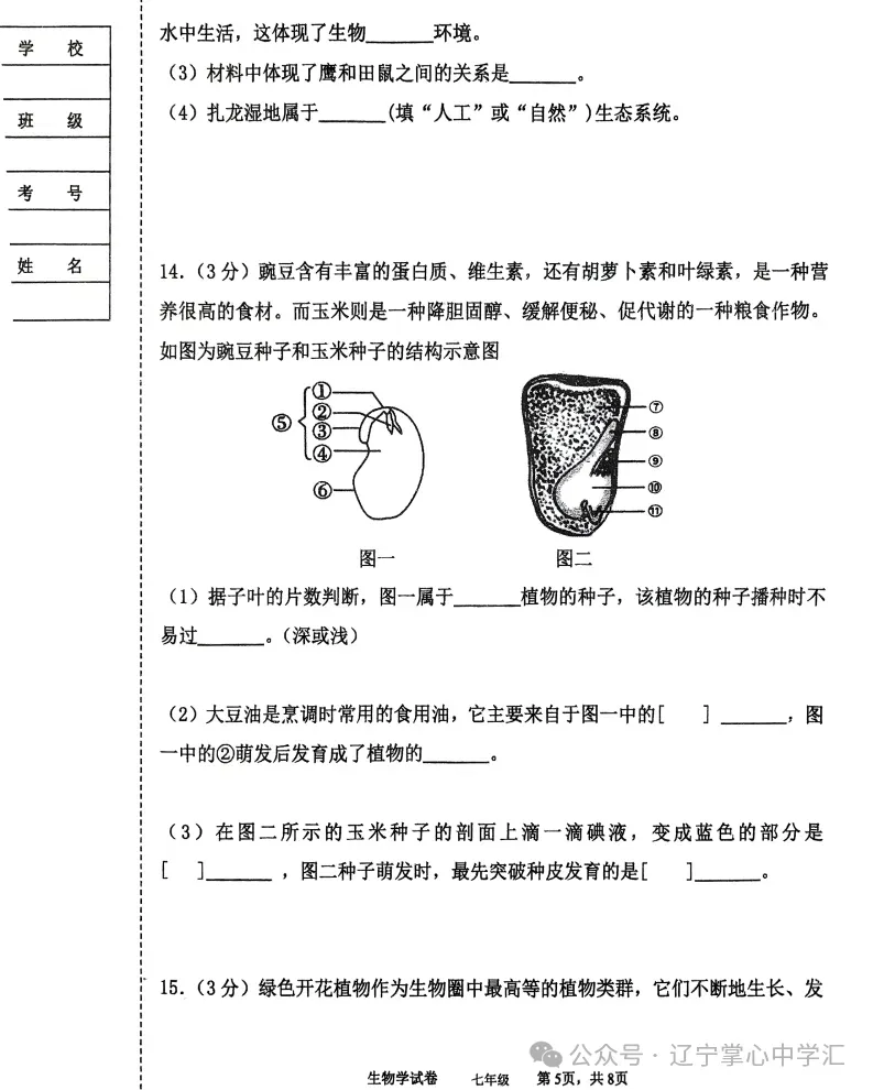 2025年5月鞍山铁西区七年期中试卷+答案 第61张