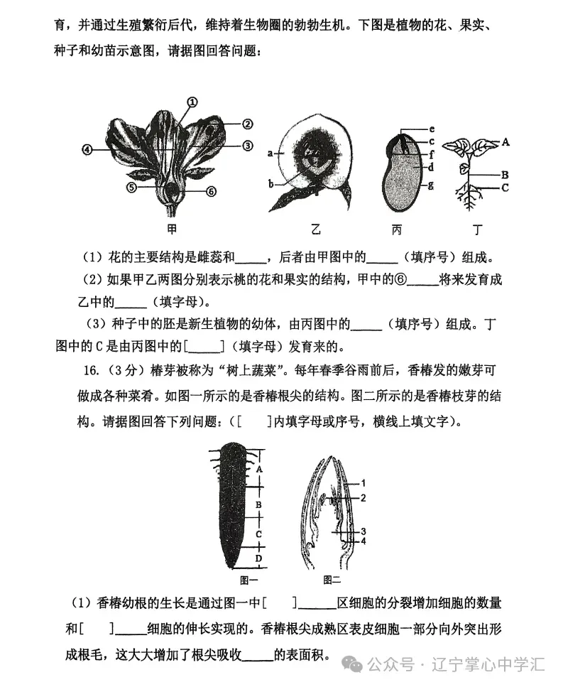 2025年5月鞍山铁西区七年期中试卷+答案 第62张