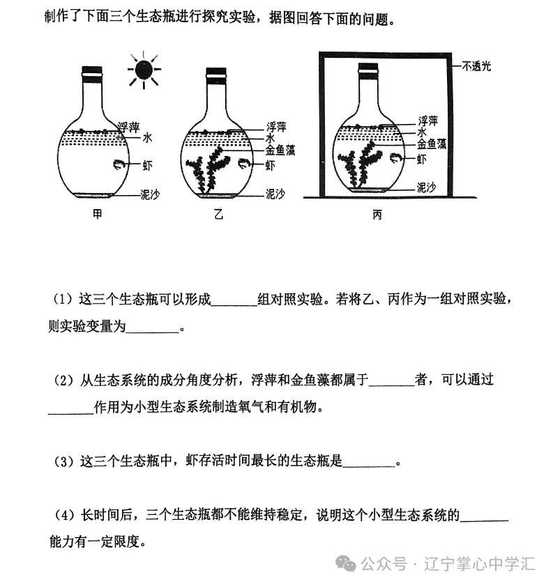 2025年5月鞍山铁西区七年期中试卷+答案 第65张