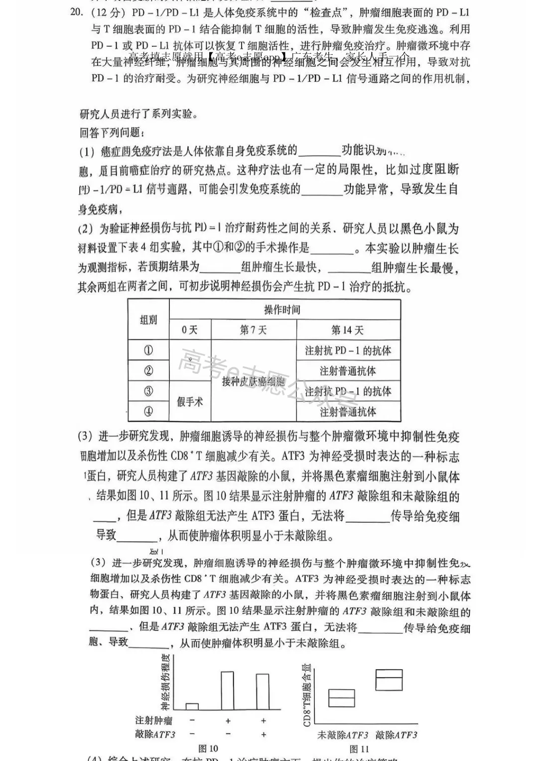 全齐!2026广东一模、广州一模各科试卷+答案汇总 第87张