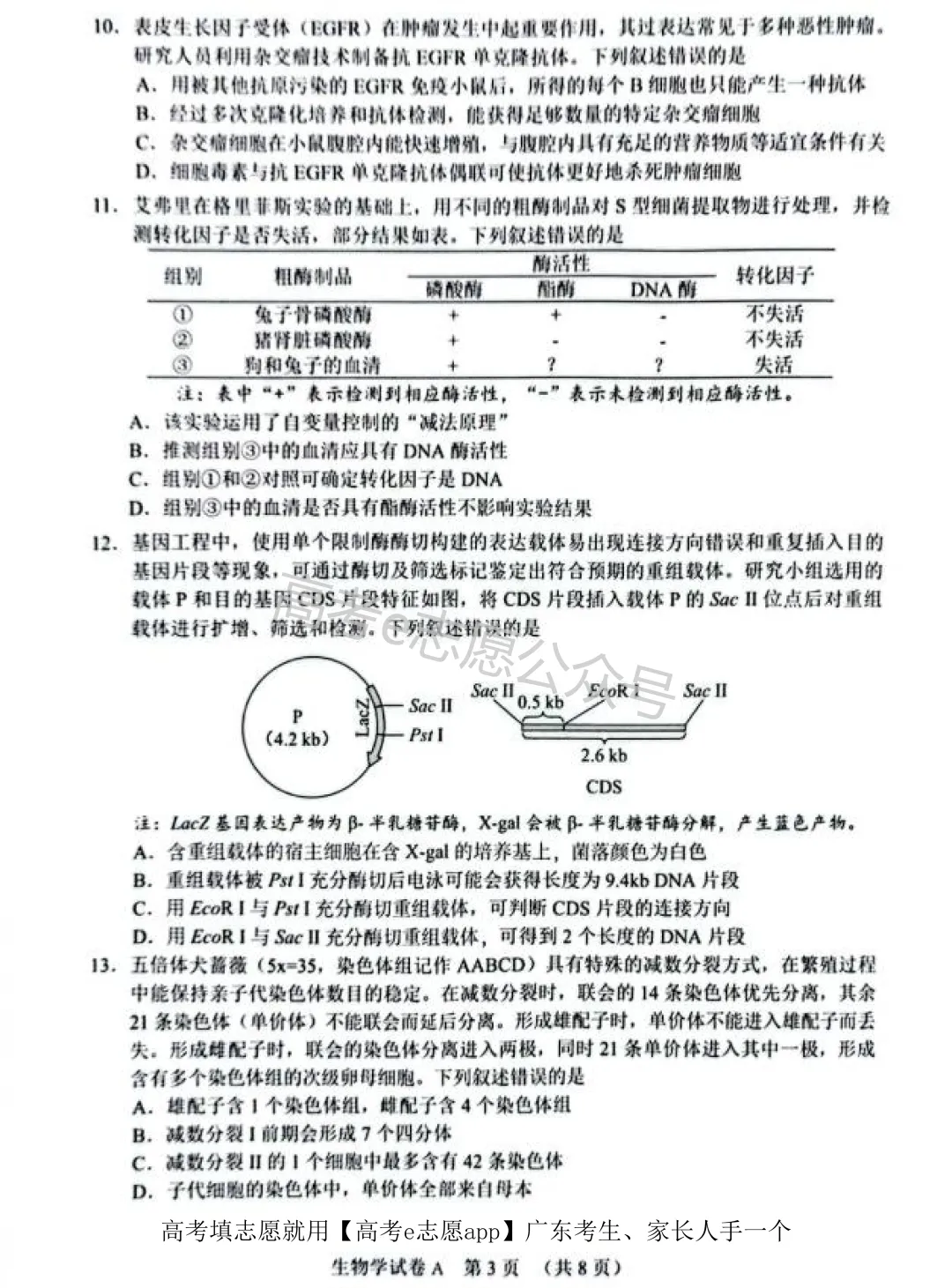 全齐!2026广东一模、广州一模各科试卷+答案汇总 第192张