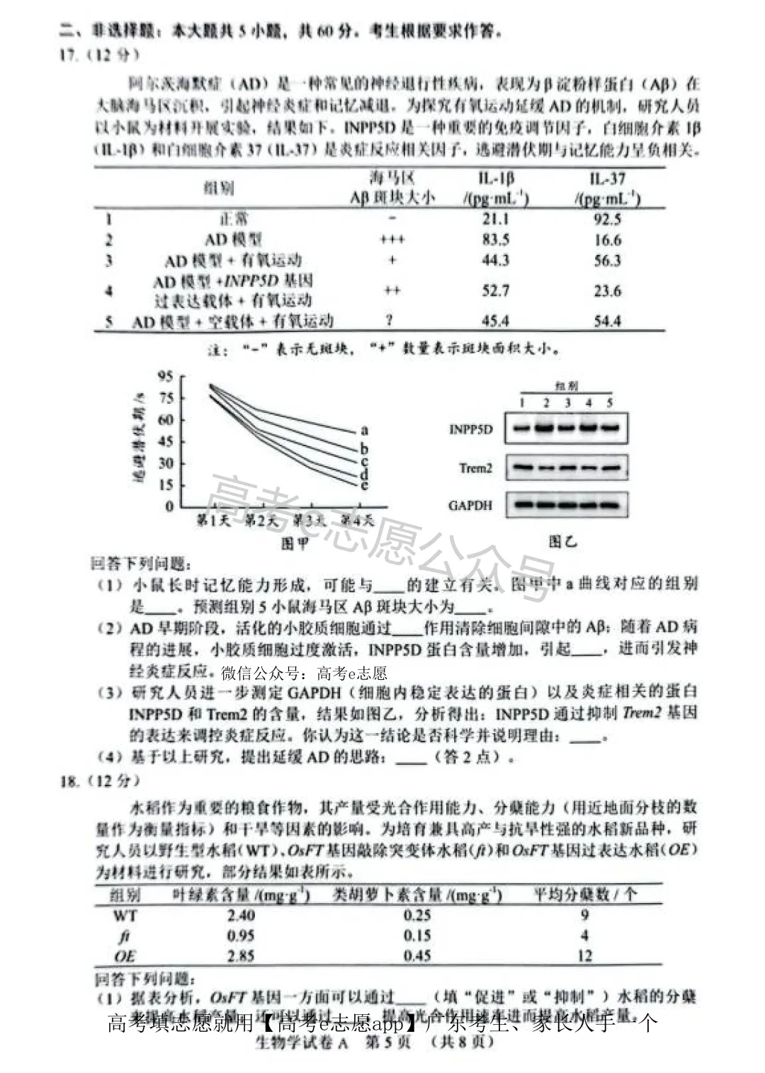 全齐!2026广东一模、广州一模各科试卷+答案汇总 第194张