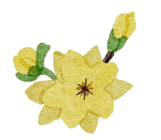 中考物理 热点05 物理与科技创新(热点专练) 第17张