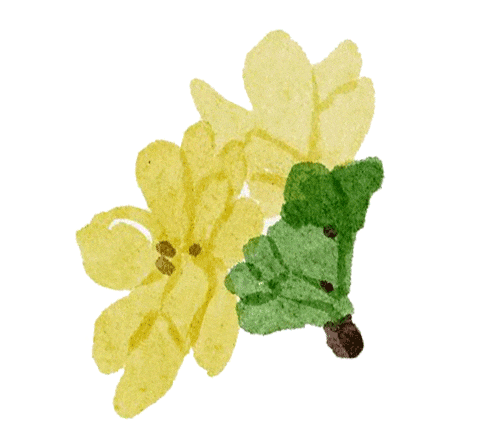 中考物理 热点04 物理与体育赛事(热点专练) 第3张