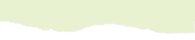 2026年南充顺庆中考报名,外地生和社会考生看过来! 第1张