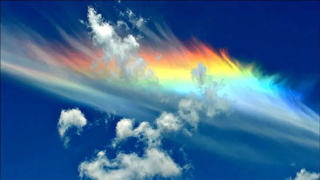 2026年中考语文二轮综合性专题复习热点——“文学部落” 第1张