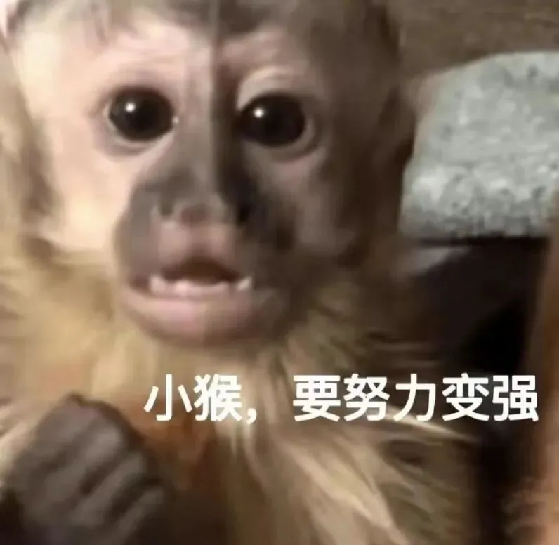 你离纪中/一中只差这一步,中考稳上岸的规划指南来了 第2张