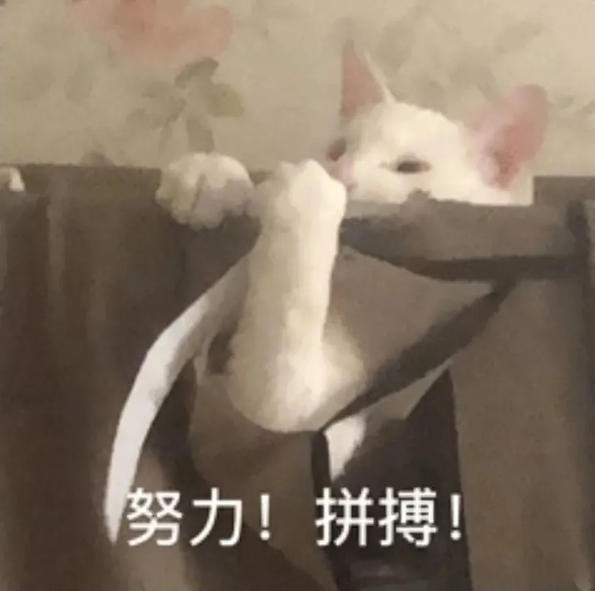 你离纪中/一中只差这一步,中考稳上岸的规划指南来了 第3张