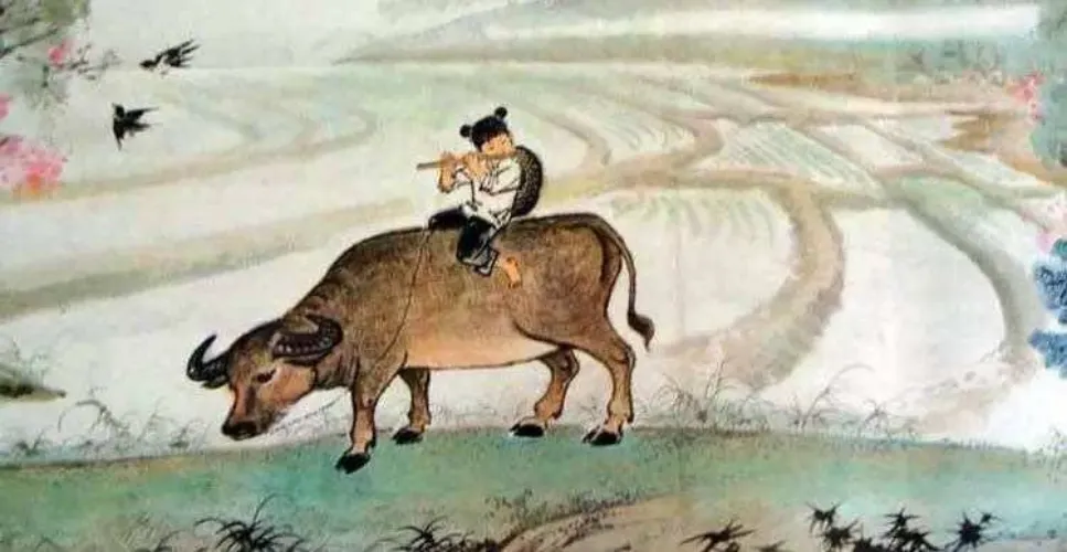 2026西音708中西音乐史真题解析 第8张