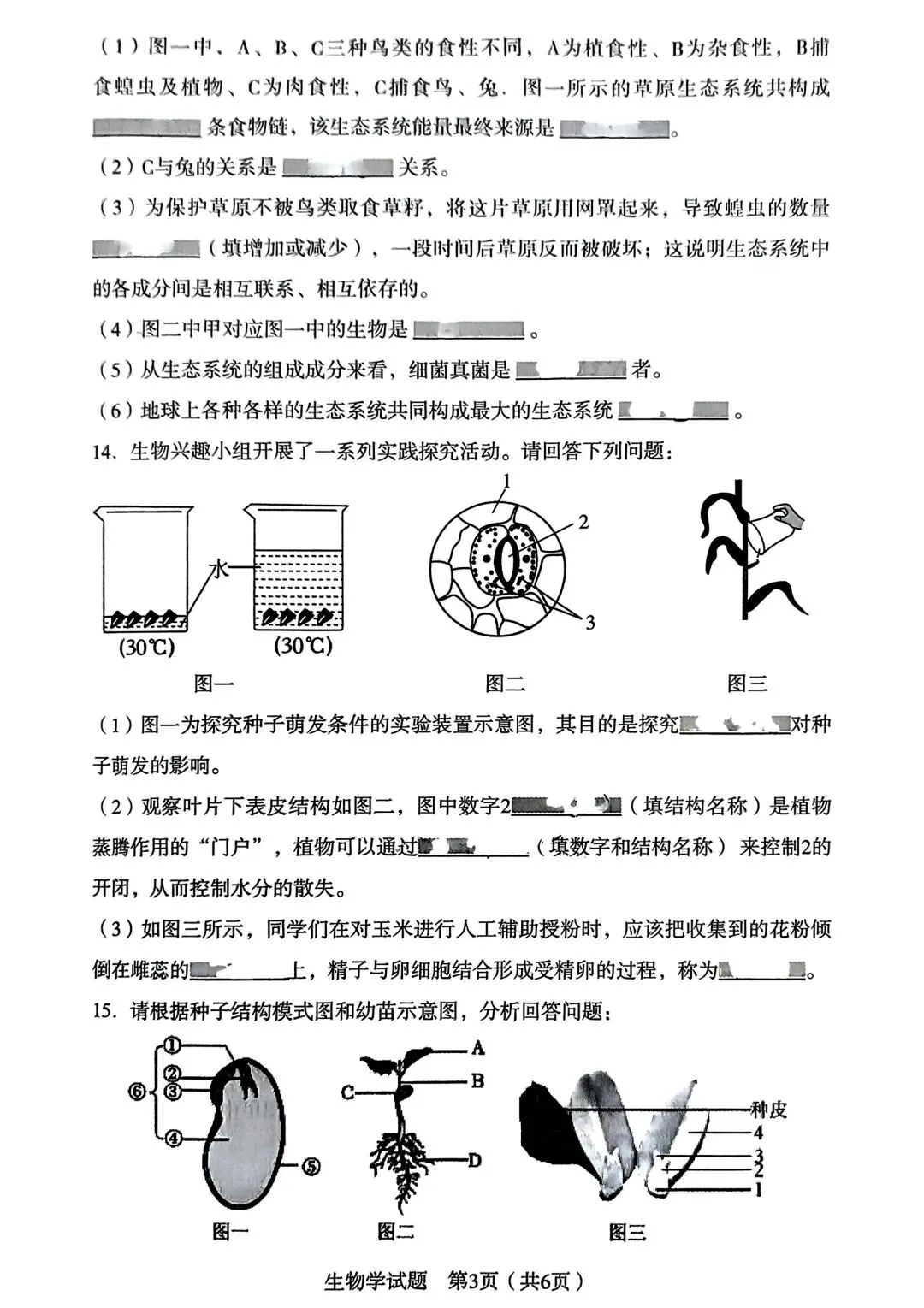 【试卷/初一下】2024-2025沈阳沈河区七下期末生物(含答案)可下载 第3张
