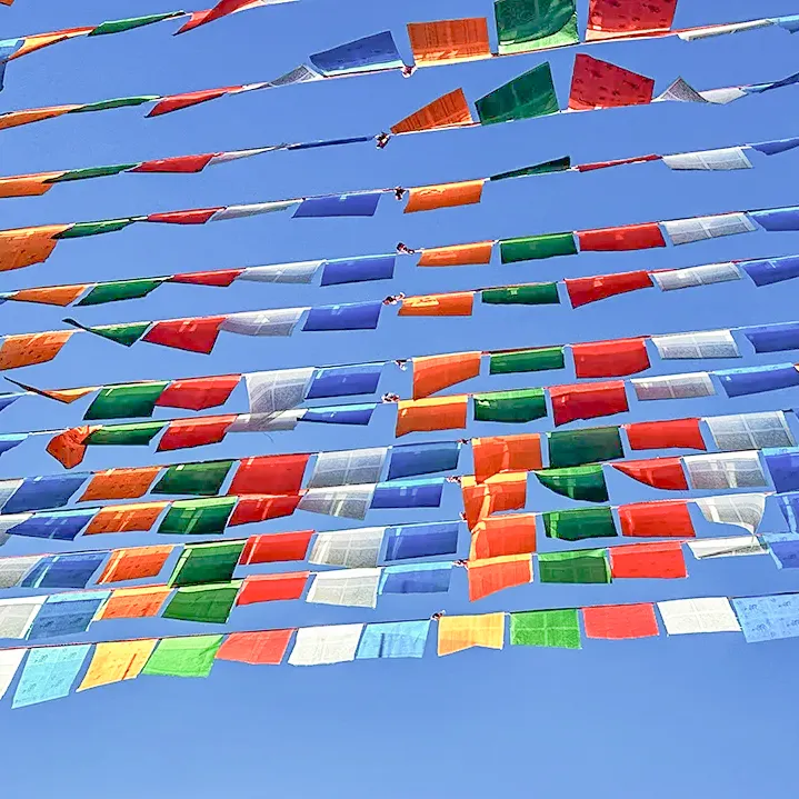 初三结课考和一模要来了啦!附赠真题试卷及答案 第9张