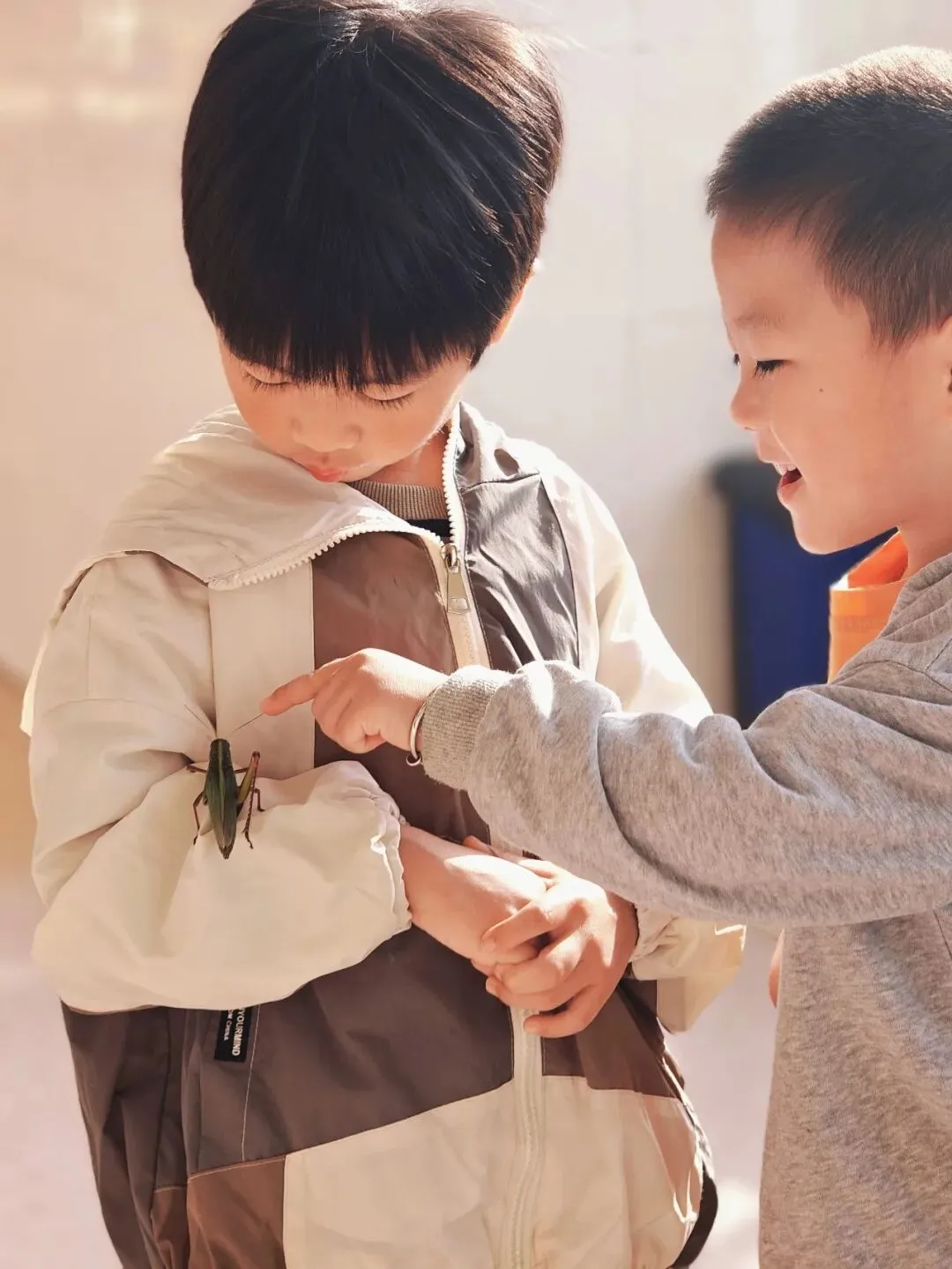 “真题真议”话题讨论集锦7:在幼儿自主探究与尊重动植物生命之间,教师该如何把握平衡? 第4张