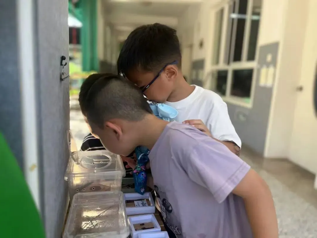 “真题真议”话题讨论集锦7:在幼儿自主探究与尊重动植物生命之间,教师该如何把握平衡? 第7张