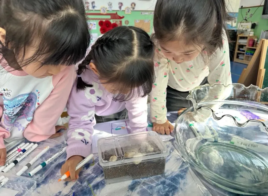 “真题真议”话题讨论集锦7:在幼儿自主探究与尊重动植物生命之间,教师该如何把握平衡? 第10张