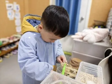 “真题真议”话题讨论集锦7:在幼儿自主探究与尊重动植物生命之间,教师该如何把握平衡? 第11张