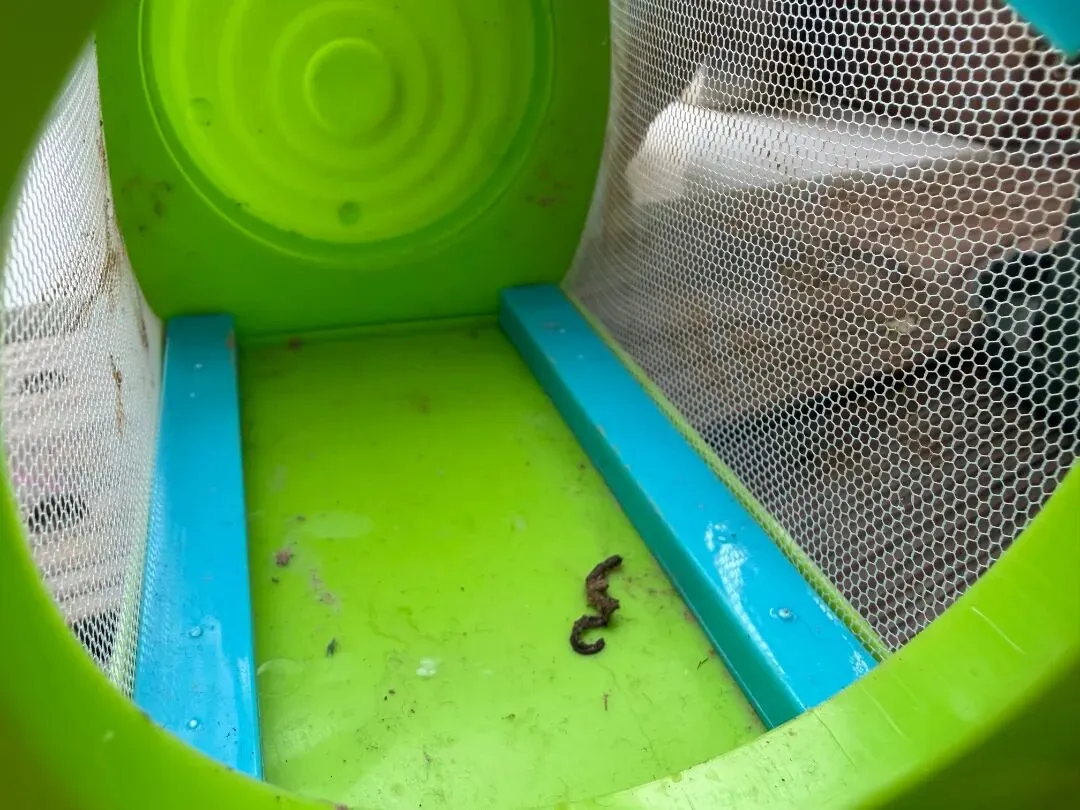 “真题真议”话题讨论集锦7:在幼儿自主探究与尊重动植物生命之间,教师该如何把握平衡? 第13张