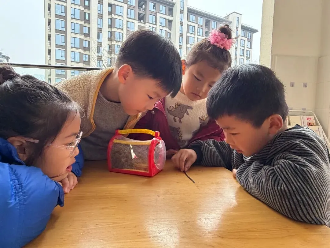 “真题真议”话题讨论集锦7:在幼儿自主探究与尊重动植物生命之间,教师该如何把握平衡? 第14张