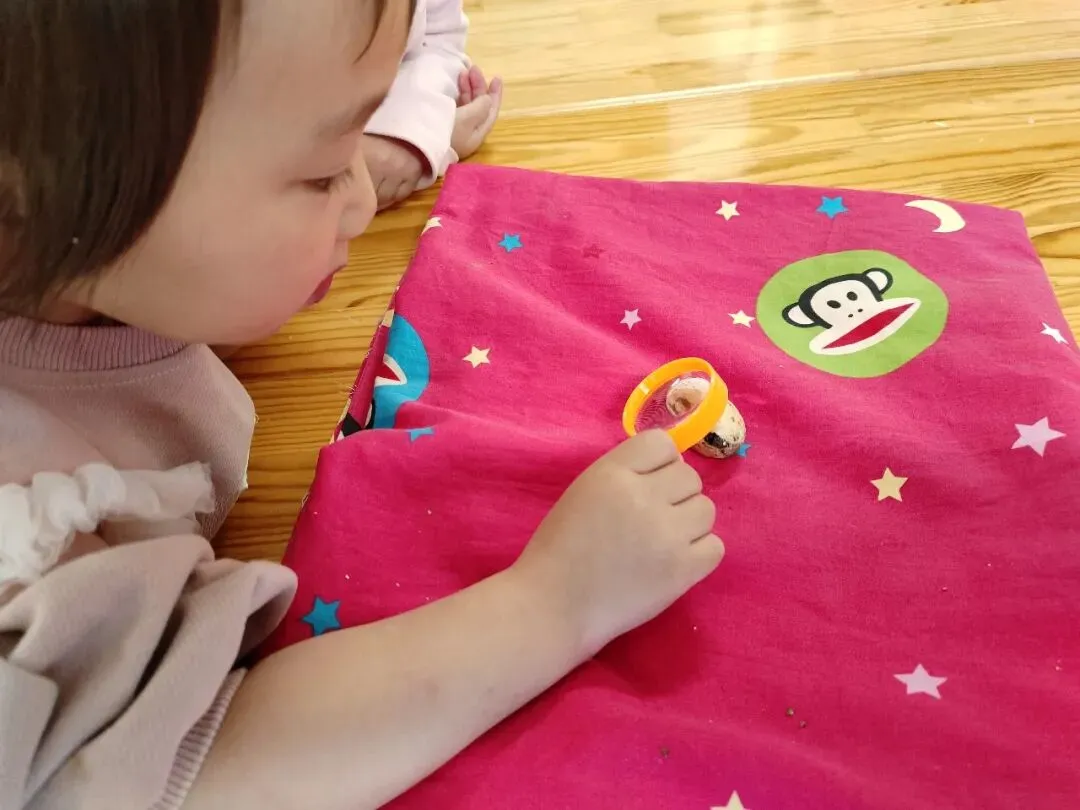 “真题真议”话题讨论集锦7:在幼儿自主探究与尊重动植物生命之间,教师该如何把握平衡? 第16张