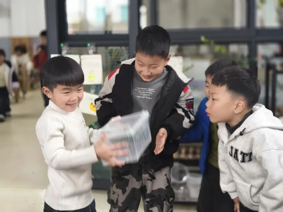 “真题真议”话题讨论集锦7:在幼儿自主探究与尊重动植物生命之间,教师该如何把握平衡? 第17张