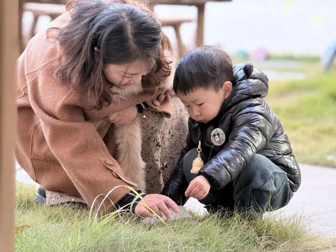 “真题真议”话题讨论集锦7:在幼儿自主探究与尊重动植物生命之间,教师该如何把握平衡? 第18张