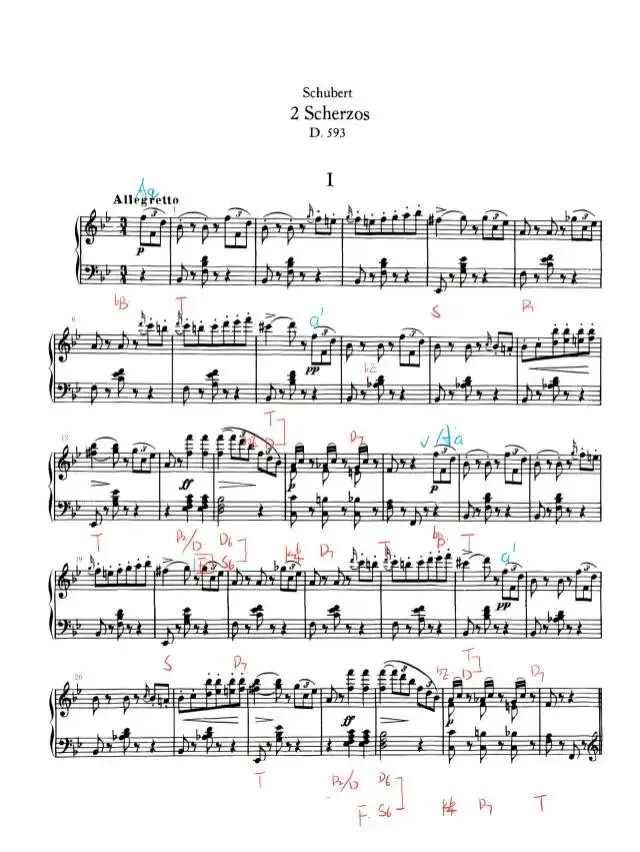 烟台大学2026年曲式分析真题舒伯特谐谑曲D593曲式分析答案解析 第2张