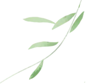 步履铿锵赴征程 少年逐梦向中考 —— 宜山实验中学九年级中考毅行活动启幕 第13张