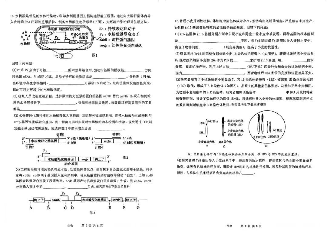 【真题试卷】2025天津市十二校高考二模全科试卷免费领! 第48张