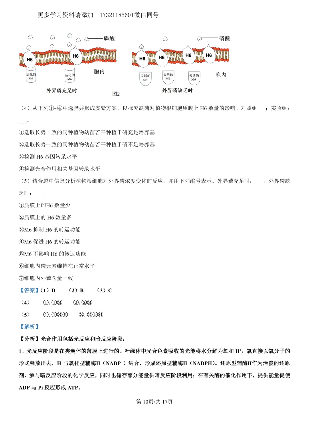 2023年上海等级考生物试卷分享(详细解析版) 第11张