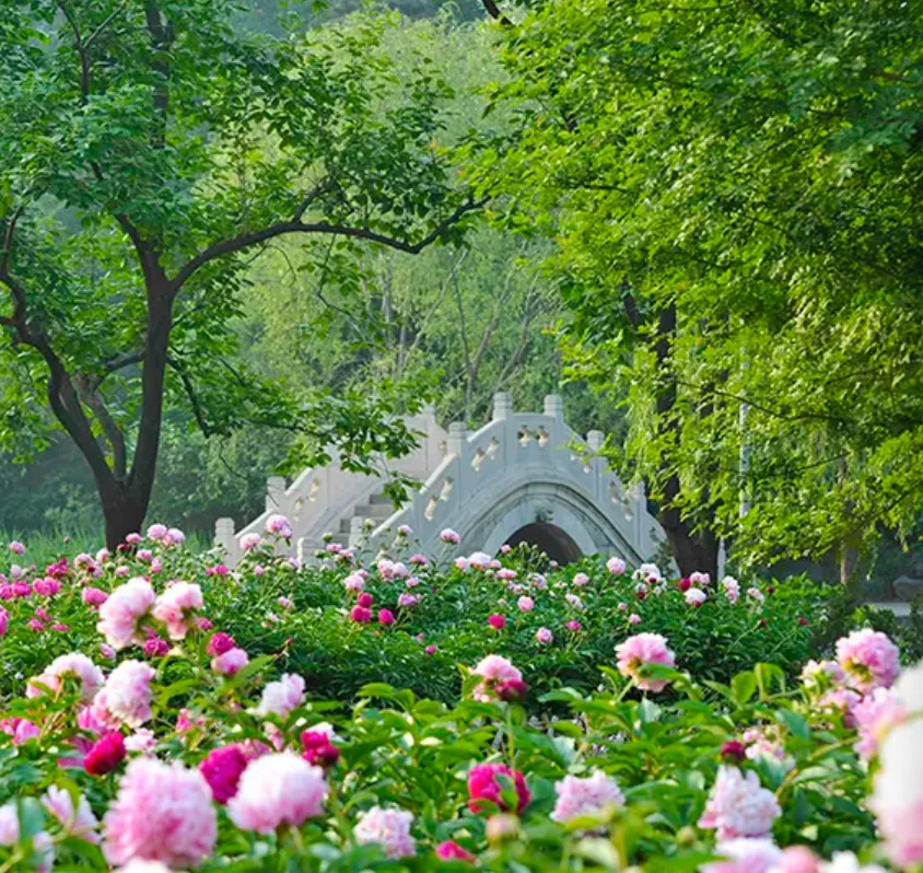 快讯:2026湖南省中考安排出炉,最后90天怎么提分? 第4张